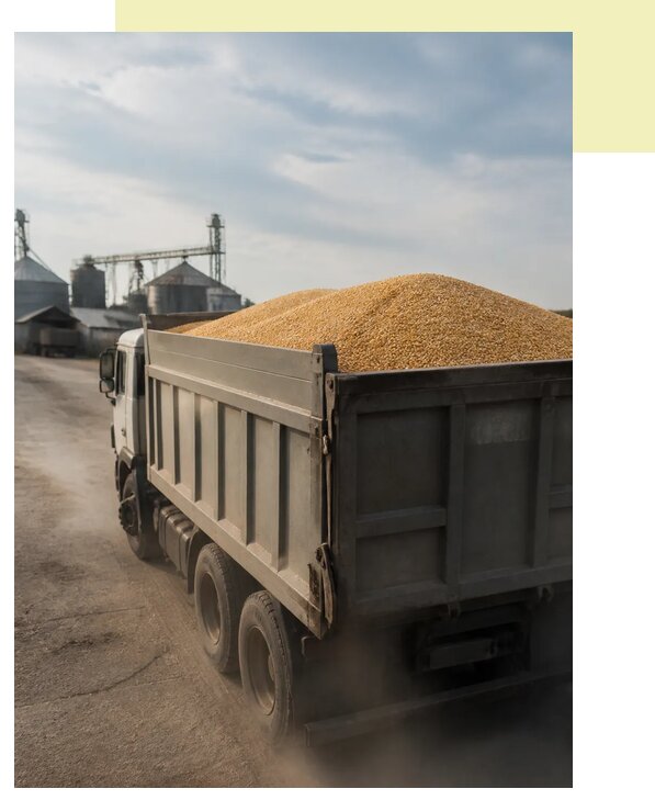 Перевозка сельхозпродукции навалом в Керчь по цене от 3064 р. | Агросервис-Крч